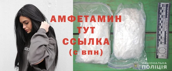 прущие грибы Белокуриха