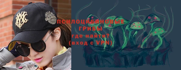 a pvp Богородицк