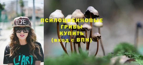 a pvp Богородицк