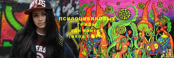 не бодяженный Снежинск