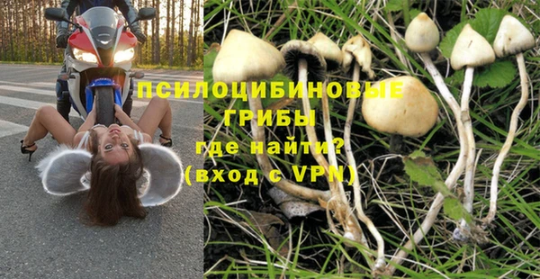 спайс Богородск