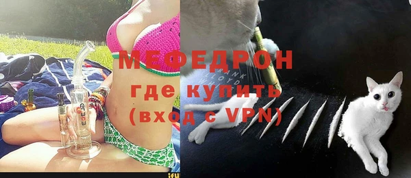 прущие грибы Белокуриха