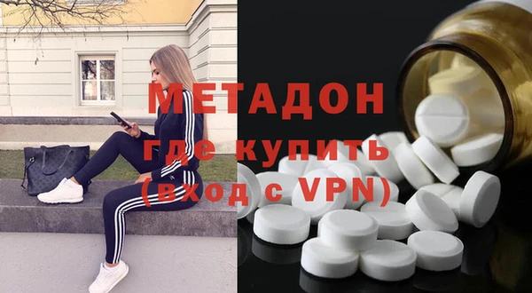 прущие грибы Белокуриха