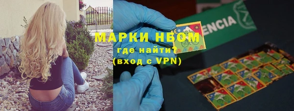 прущие грибы Белокуриха