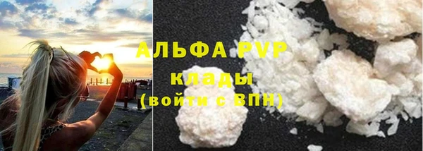 прущие грибы Белокуриха