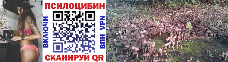 Псилоцибиновые грибы GOLDEN TEACHER  купить закладку  Дубовка 