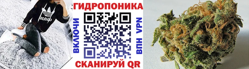 kraken как войти  Дубовка  Бошки Шишки Amnesia 
